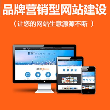 營(yíng)銷型網(wǎng)站設(shè)計(jì)